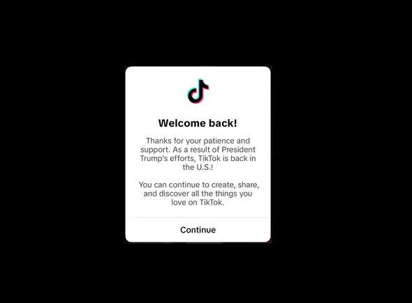 TikTok is Accessible within the US Once more After Trump’s Assurances
