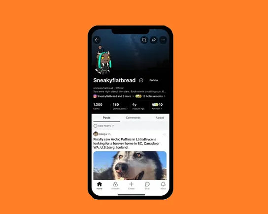 Reddit Launches Up to date Profiles, Extra Controls Over Exercise Data